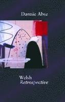 Dannie Abse - Welsh Retrospective, Häftad