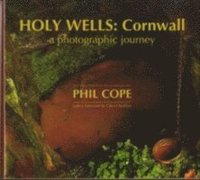 bokomslag Holy Wells: Cornwall