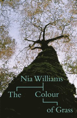 Nia Williams - Colour of Grass, Häftad