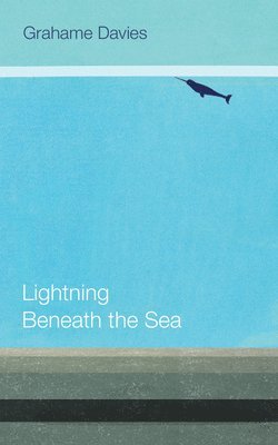 Lightning Beneath the Sea 1