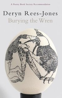bokomslag Burying the Wren