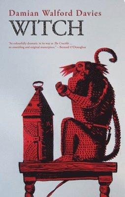 Damian Walford-Davies, Damain Walford Davies - Witch, Häftad