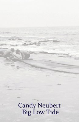 Candy Neubert - Big Low Tide, Häftad