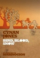 Cynan Jones - Bird, Blood, Snow, Häftad
