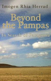 bokomslag Beyond the Pampas