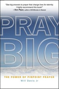 bokomslag Pray Big: The Power of Pinpoint Prayer