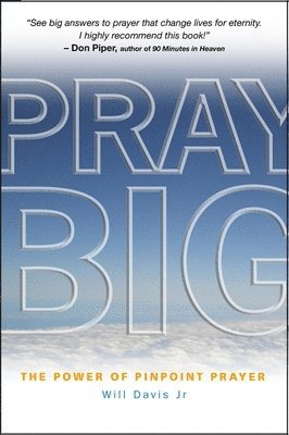bokomslag Pray Big: The Power of Pinpoint Prayer