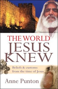 bokomslag The World Jesus Knew