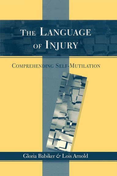 bokomslag The Language of Injury