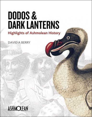 David A. Berry - Dodos and Dark Lanterns, Häftad