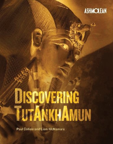Paul Collins, Liam McNamara - Discovering Tutankhamun, Häftad