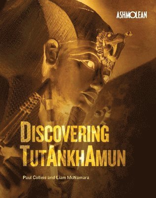 bokomslag Discovering Tutankhamun