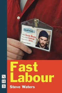 bokomslag Fast Labour