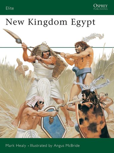 Mark Healy - New Kingdom Egypt, Häftad