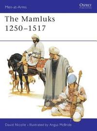 bokomslag Mamluks 1250-1517
