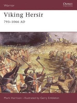 bokomslag Viking Hersir 793-1066 AD
