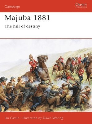 bokomslag Majuba, 1881