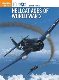 bokomslag Hellcat Aces of World War 2