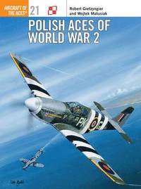 bokomslag Polish Aces of World War 2