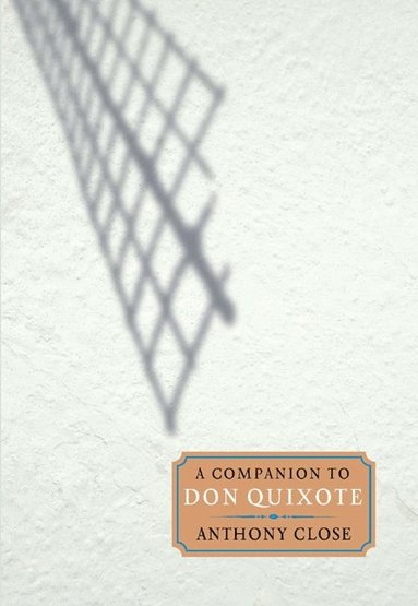 bokomslag Companion to Don Quixote