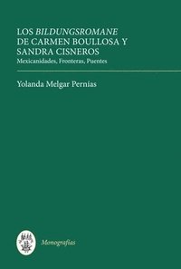 bokomslag Los Bildungsromane Femeninos de Carmen Boullosa y Sandra Cisneros
