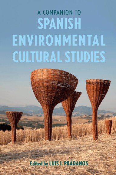 Luis I Prádanos - Companion to Spanish Environmental Cultural Studies, Häftad
