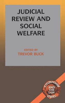 bokomslag Judicial Review and Social Welfare