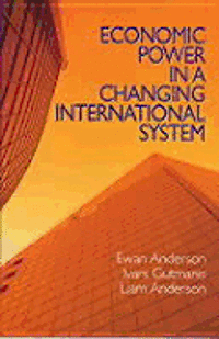 bokomslag Economic Power In A Changing International System