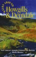 bokomslag Walks Around Howgills & Dentdale