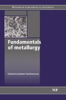 bokomslag Fundamentals of Metallurgy