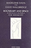 bokomslag Boundary and Space