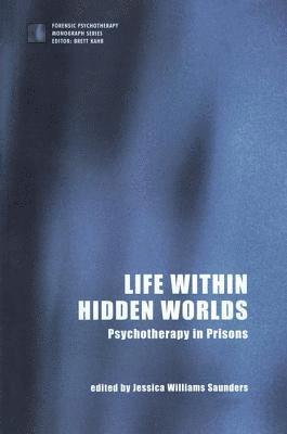 bokomslag Life within Hidden Worlds