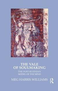 bokomslag The Vale of Soulmaking