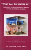 Elizabeth Bradley, Louise Emanuel - What Can the Matter Be?, Häftad