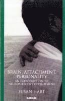bokomslag Brain, Attachment, Personality