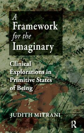 Judith L. Mitrani - Framework for the Imaginary, Häftad