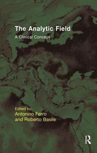 bokomslag The Analytic Field