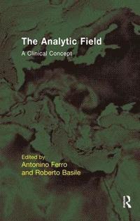 bokomslag The Analytic Field