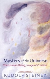 bokomslag Mystery of the Universe