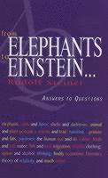 bokomslag From Elephants to Einstein
