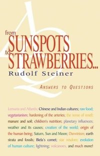 bokomslag From Sunspots to Strawberries