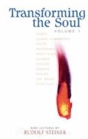 Rudolf Steiner, Pauline Wehrle - Transforming the Soul, Häftad