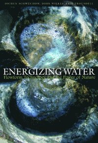 bokomslag Energizing Water