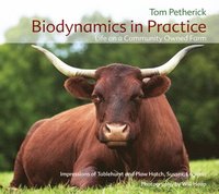 bokomslag Biodynamics in Practice