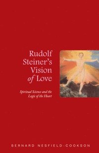 bokomslag Rudolf Steiner's Vision of Love