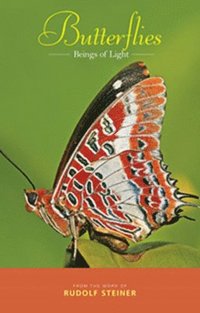 bokomslag Butterflies