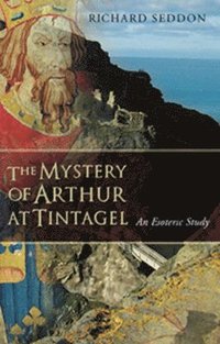 bokomslag The Mystery of Arthur at Tintagel