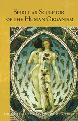 Rudolf Steiner - Spirit as Sculptor of the Human Organism, Häftad