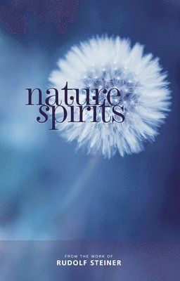 Rudolf Steiner, Wolf-Ulrich Klünker, Brendan McQuillan - Nature Spirits, Häftad