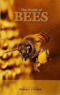 bokomslag World of Bees
